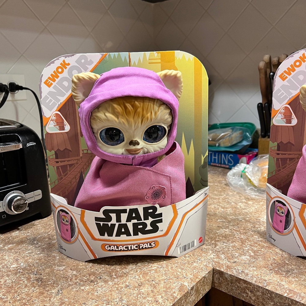 Ewok Endor